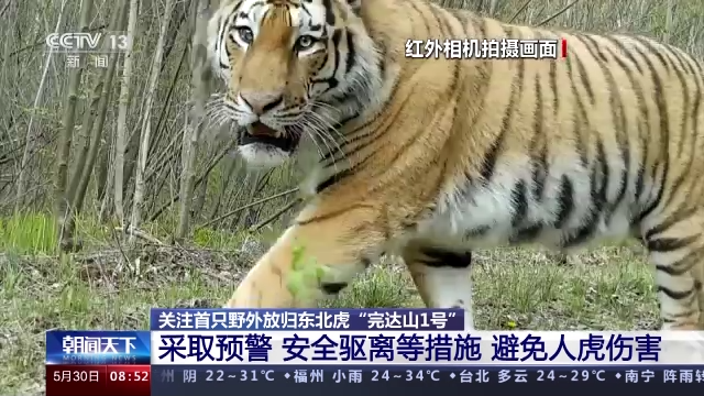 1653878558634955.png 4da014ca5b0d4d9a92a7d1cf45588bf8.png