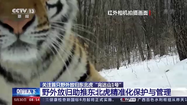 1653878584551600.png b5bed197e7064e8c9ff6453fcfa157cd.png