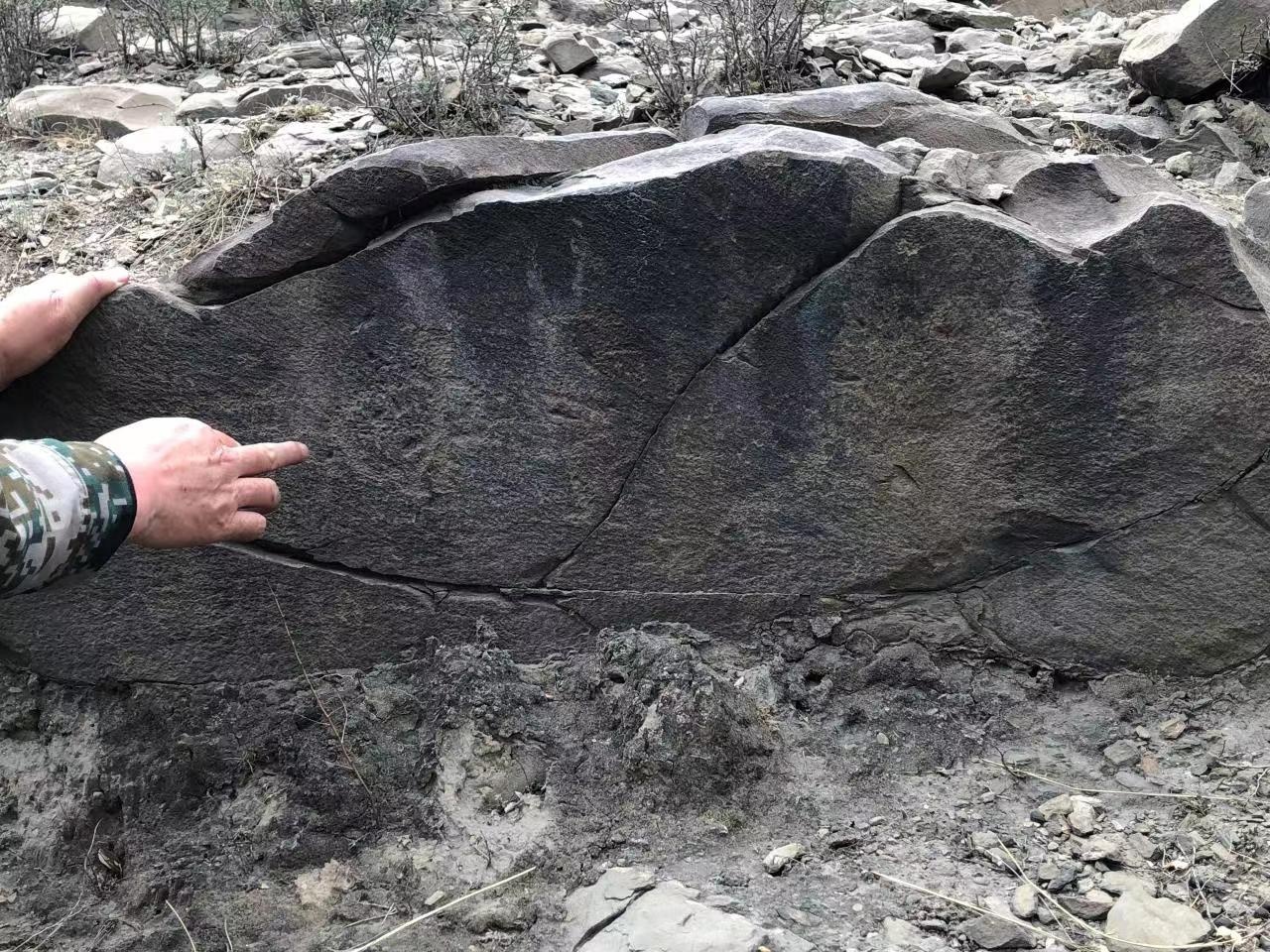 1654219030817251.png 图片5.png