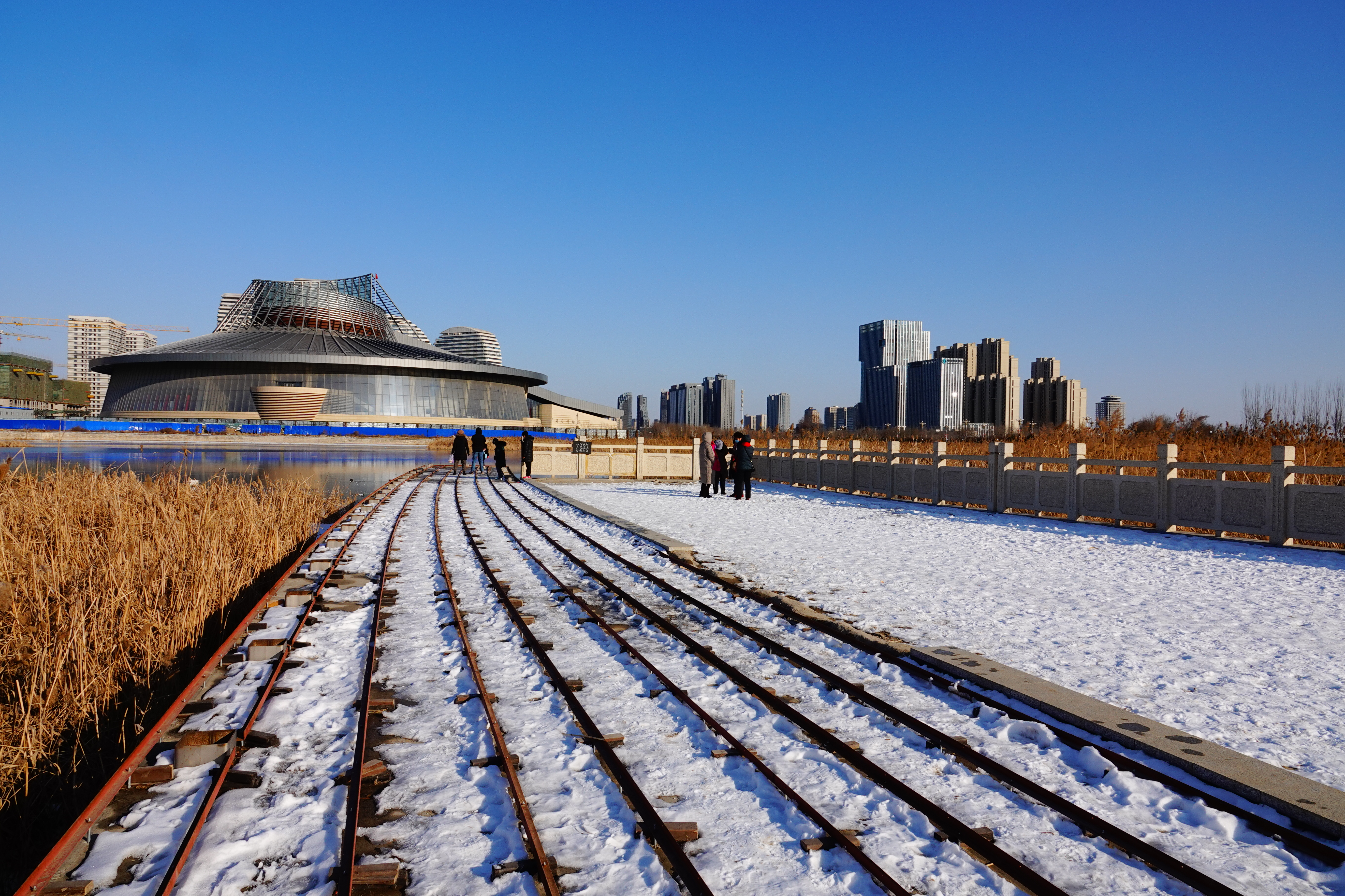 大美保定陈桂莲故土风物