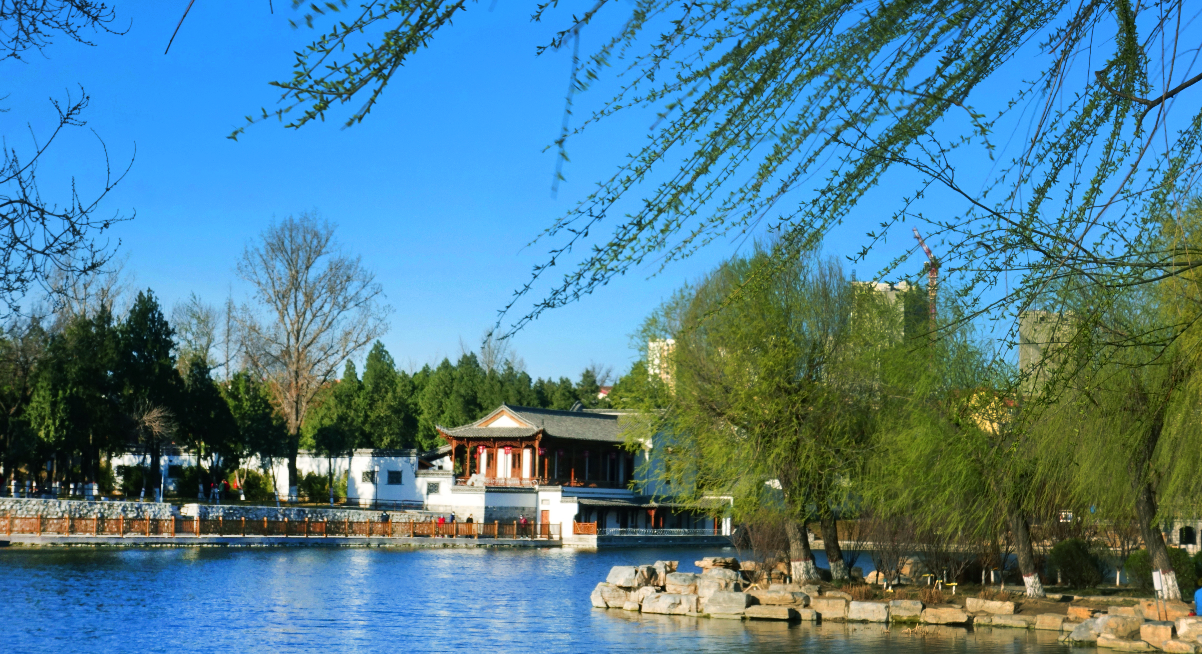 大美保定陈桂莲故土风物