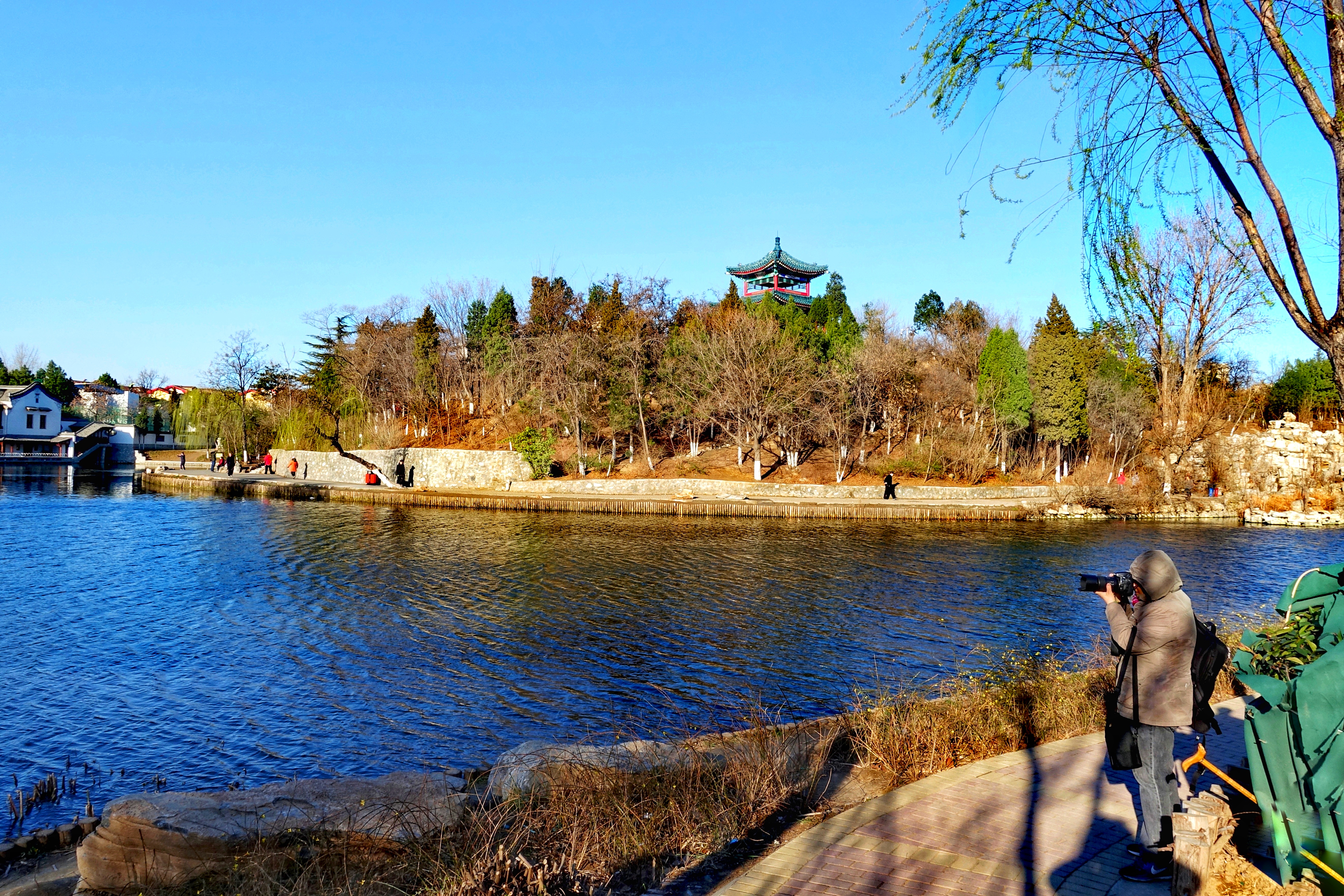 大美保定陈桂莲故土风物