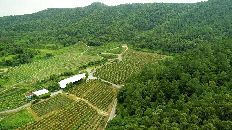 1656852539781633.jpg d20021b8a35d66803aa1d1aaf03bca1.jpg