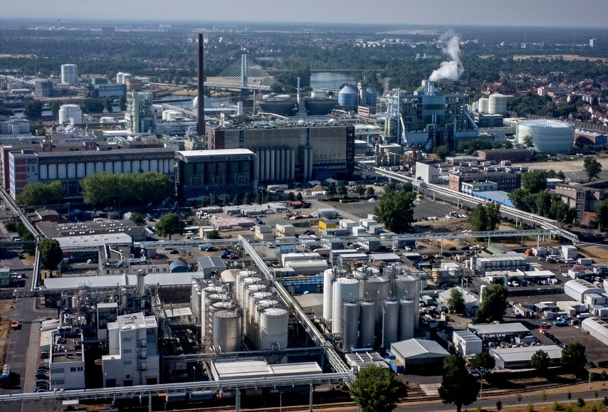 image.png?x-oss-process=style/w10