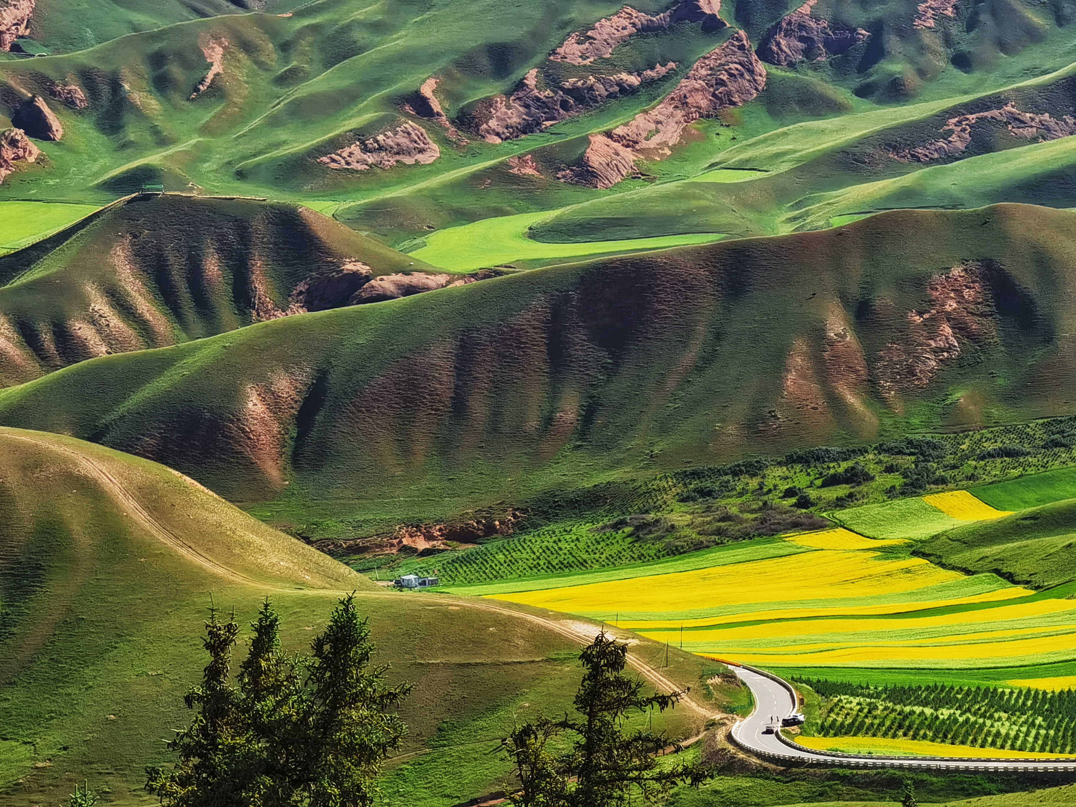 仰望祁连：绿色的山，红色的魂
