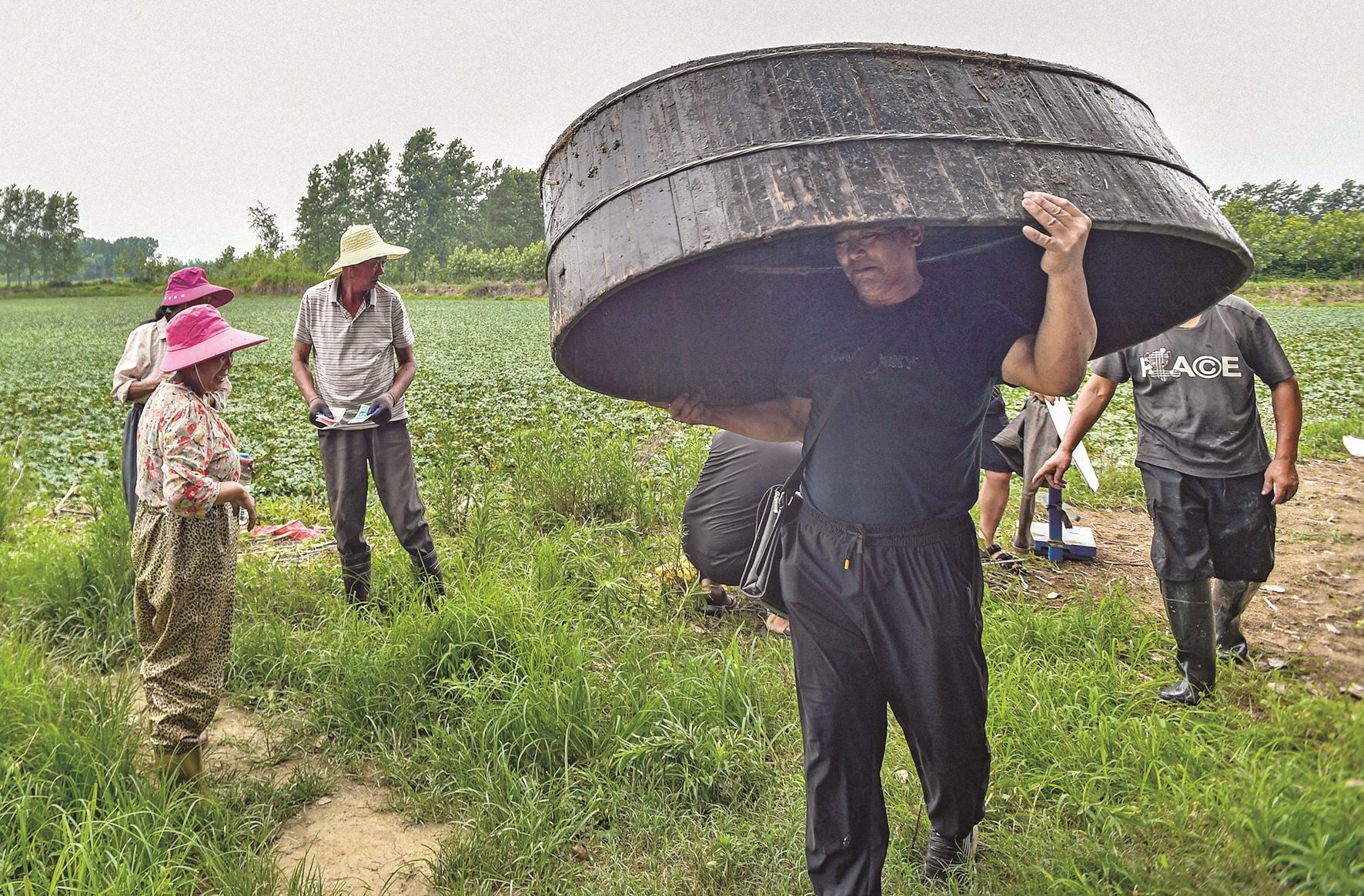 头顶盆船下塘去