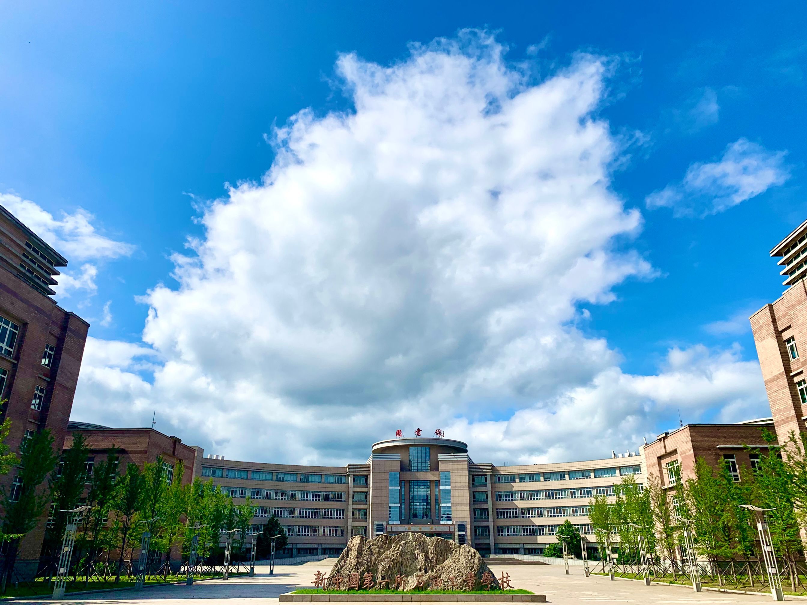 辽宁石油化工大学夏云朵朵