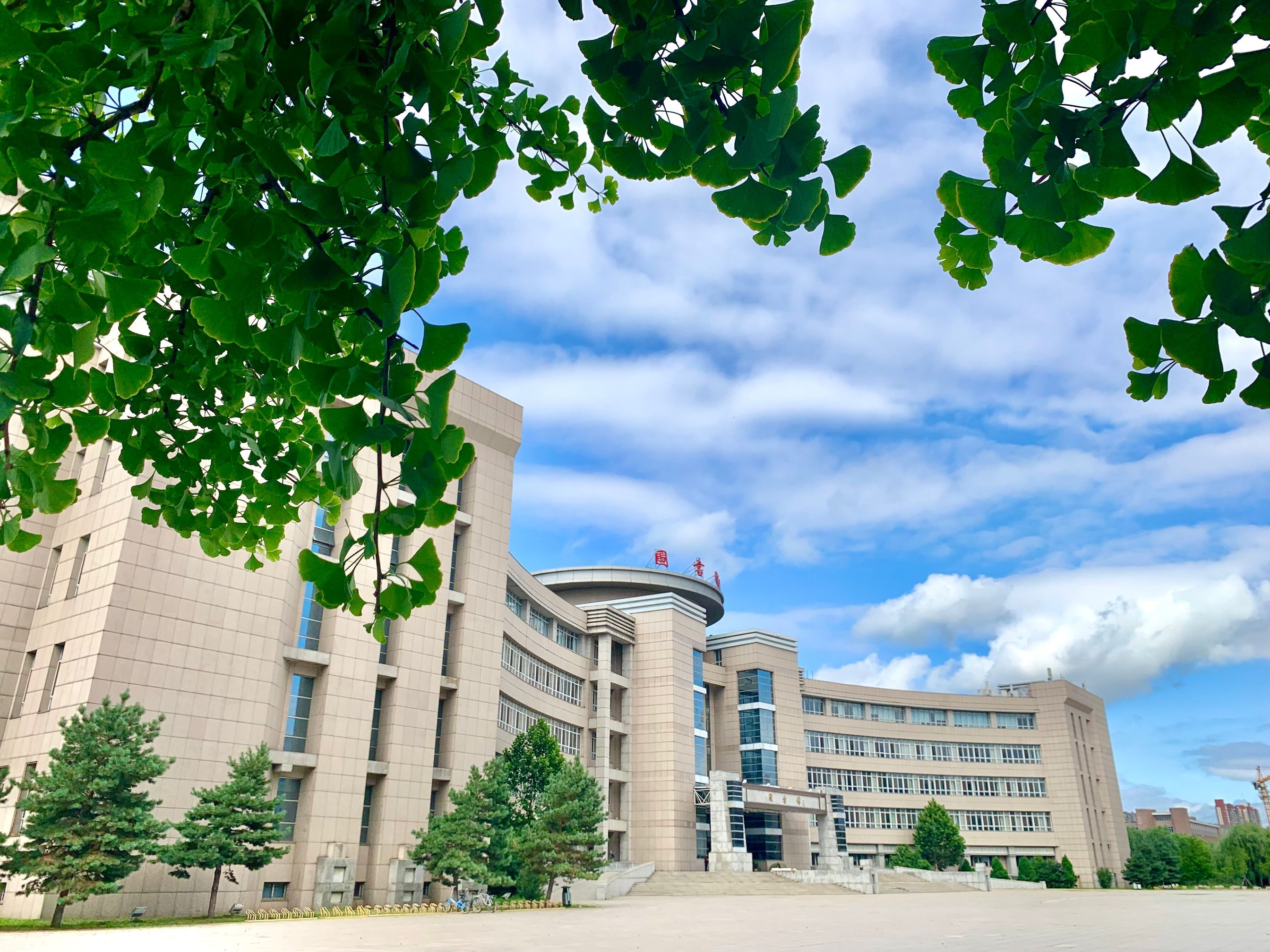 辽宁石油化工大学夏云朵朵