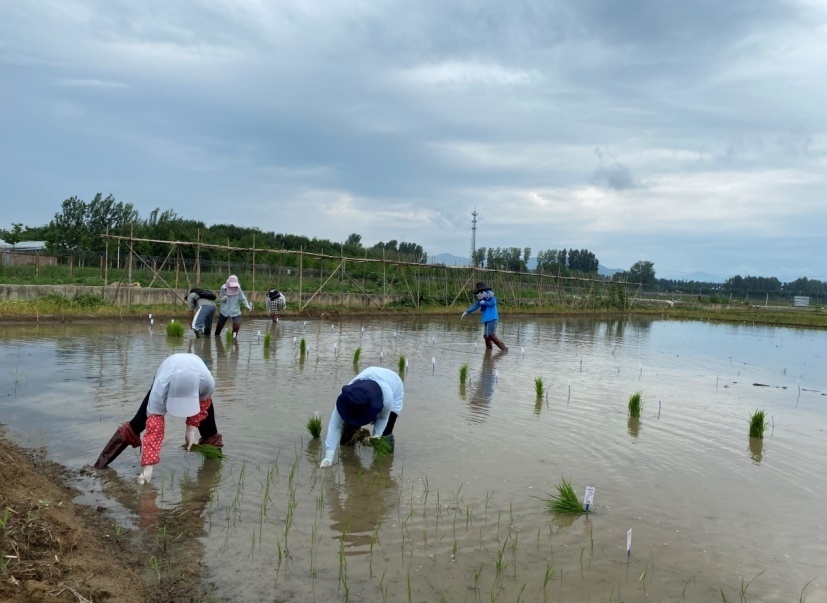 image.png?x-oss-process=style/w10