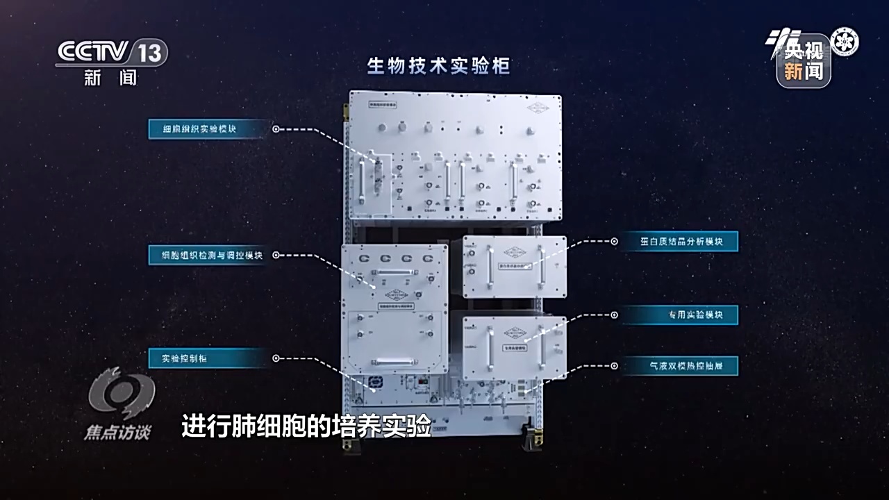 “这一次，中国航天员可能要在太空种上几茬水稻”