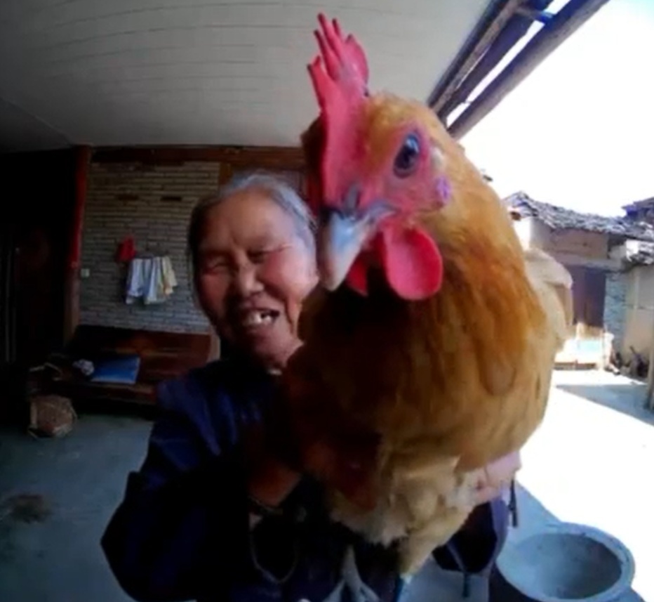 孙子给75岁奶奶装了个可视门铃，看到这样一幕幕…