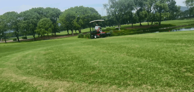 1659087673668893.gif 1658826911449mz剪草机.gif