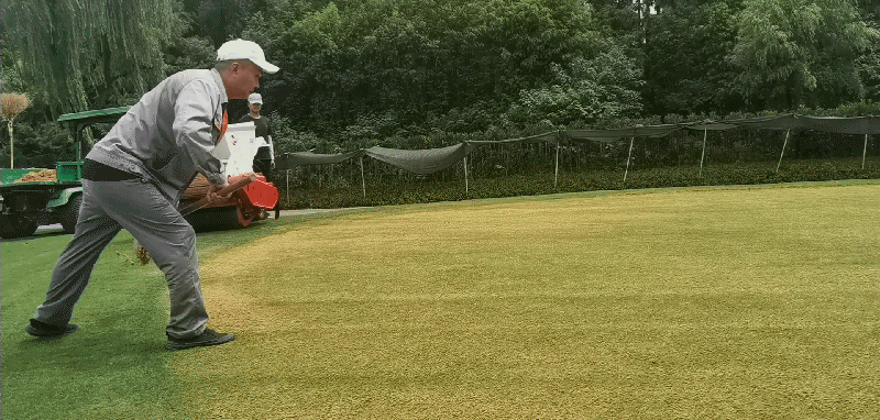 1659087744941589.gif 1658826468759mz人工铺沙.gif