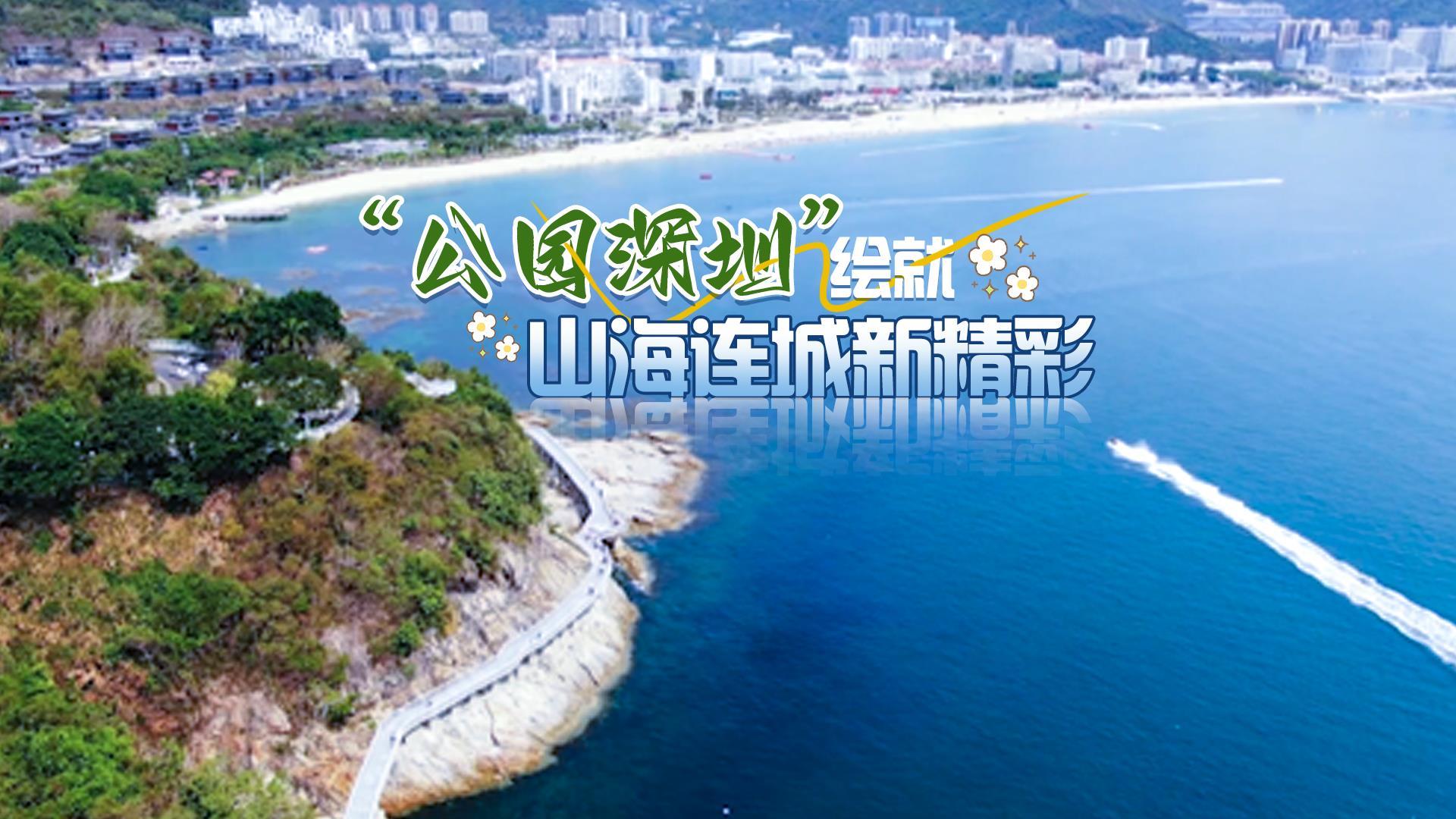 公园深圳绘就山海连城新精彩