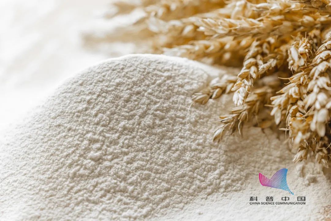 1661220702658617.jpg 米2.jpg