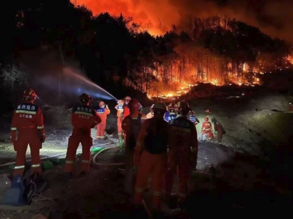 1661554592405883.png image.png