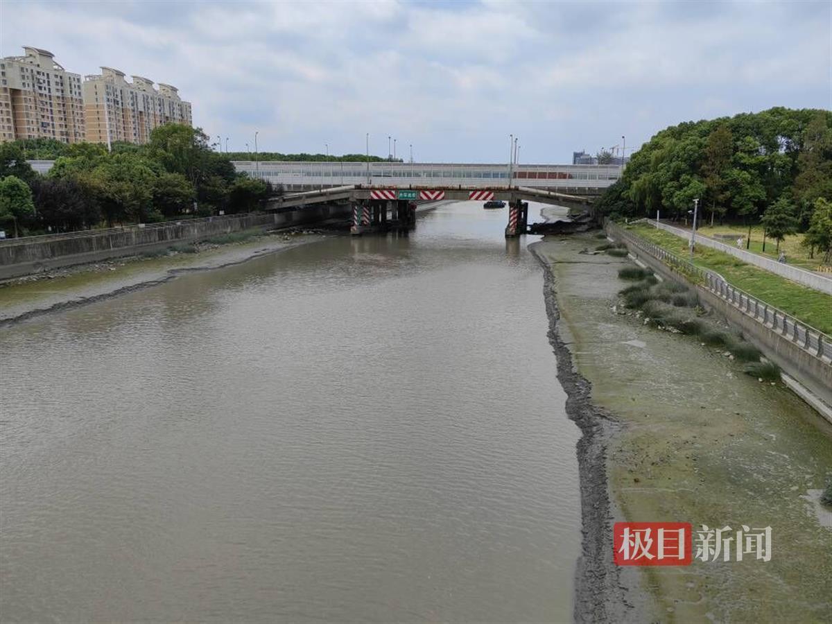 淀浦河仍有大面积滩涂露出