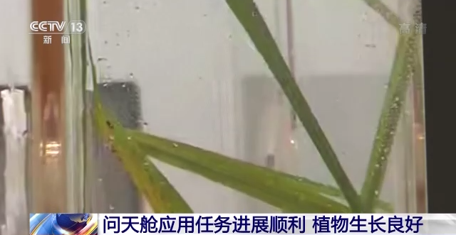 1662079361552544.png 微信图片_20220902084235.png