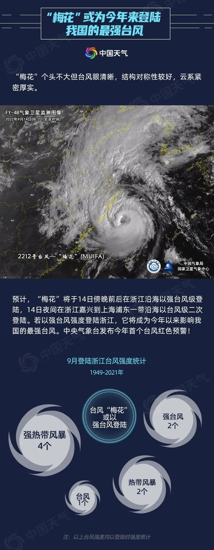 meihua3.jpg