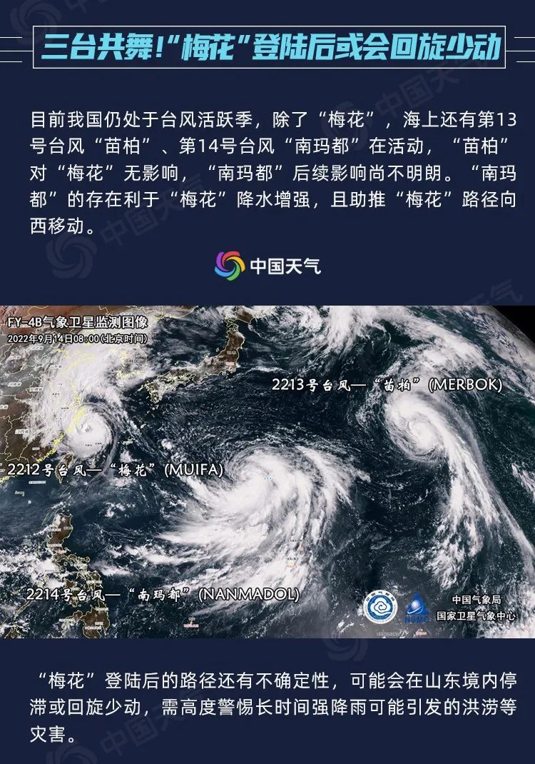 meihua5.jpg
