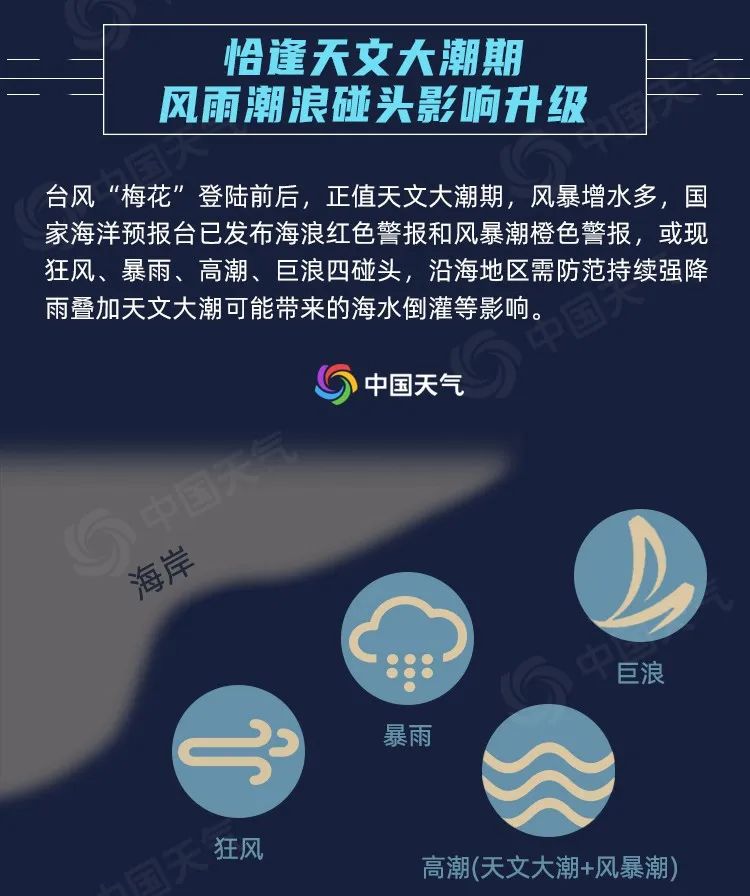 meihua6.jpg