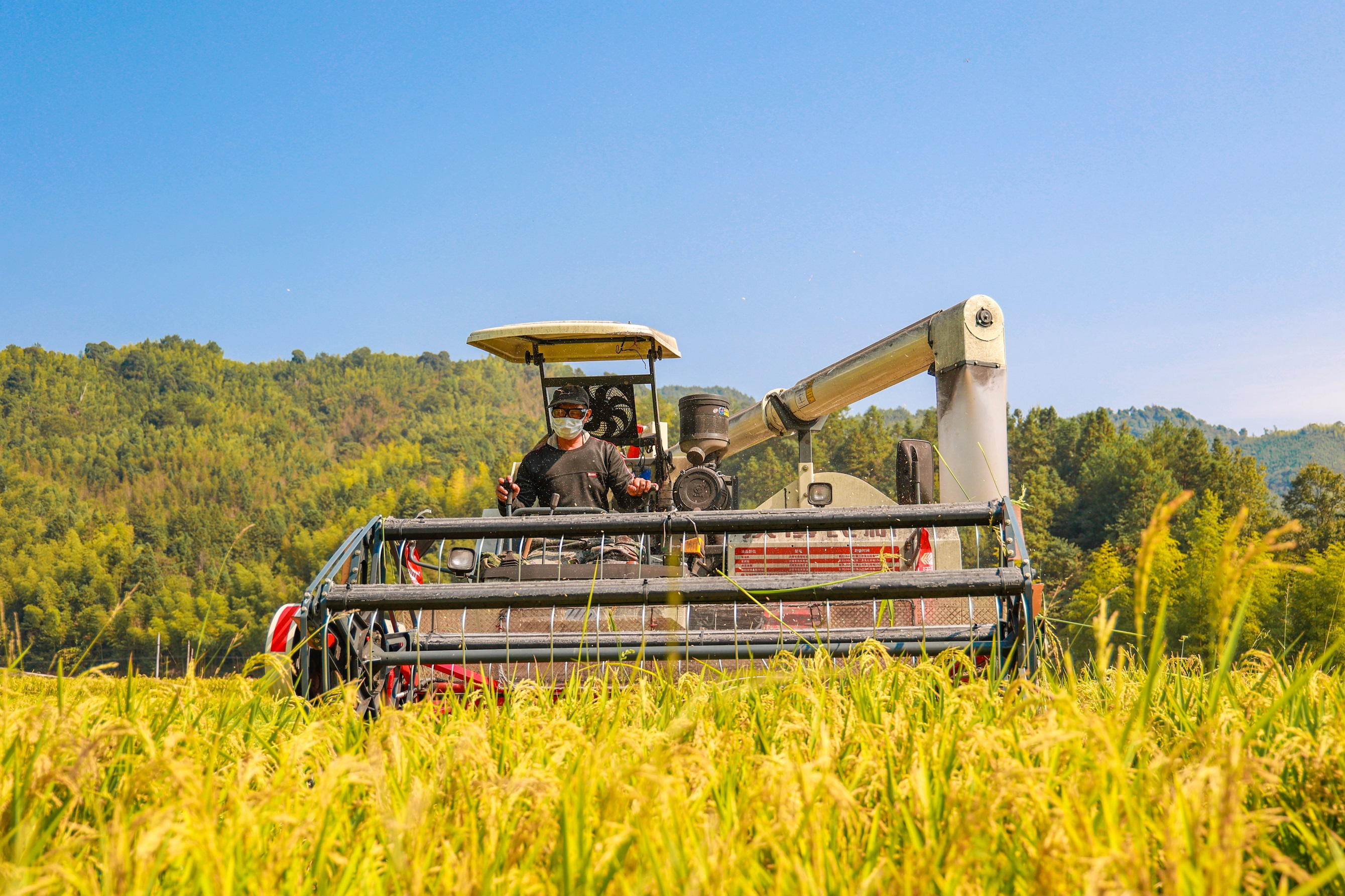 图八 陈震 摄.jpg