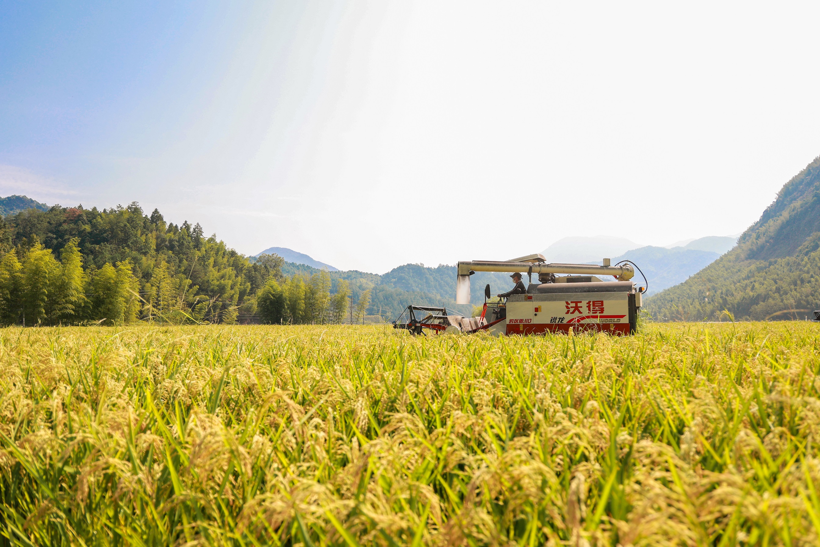 图二陈震 摄.jpg