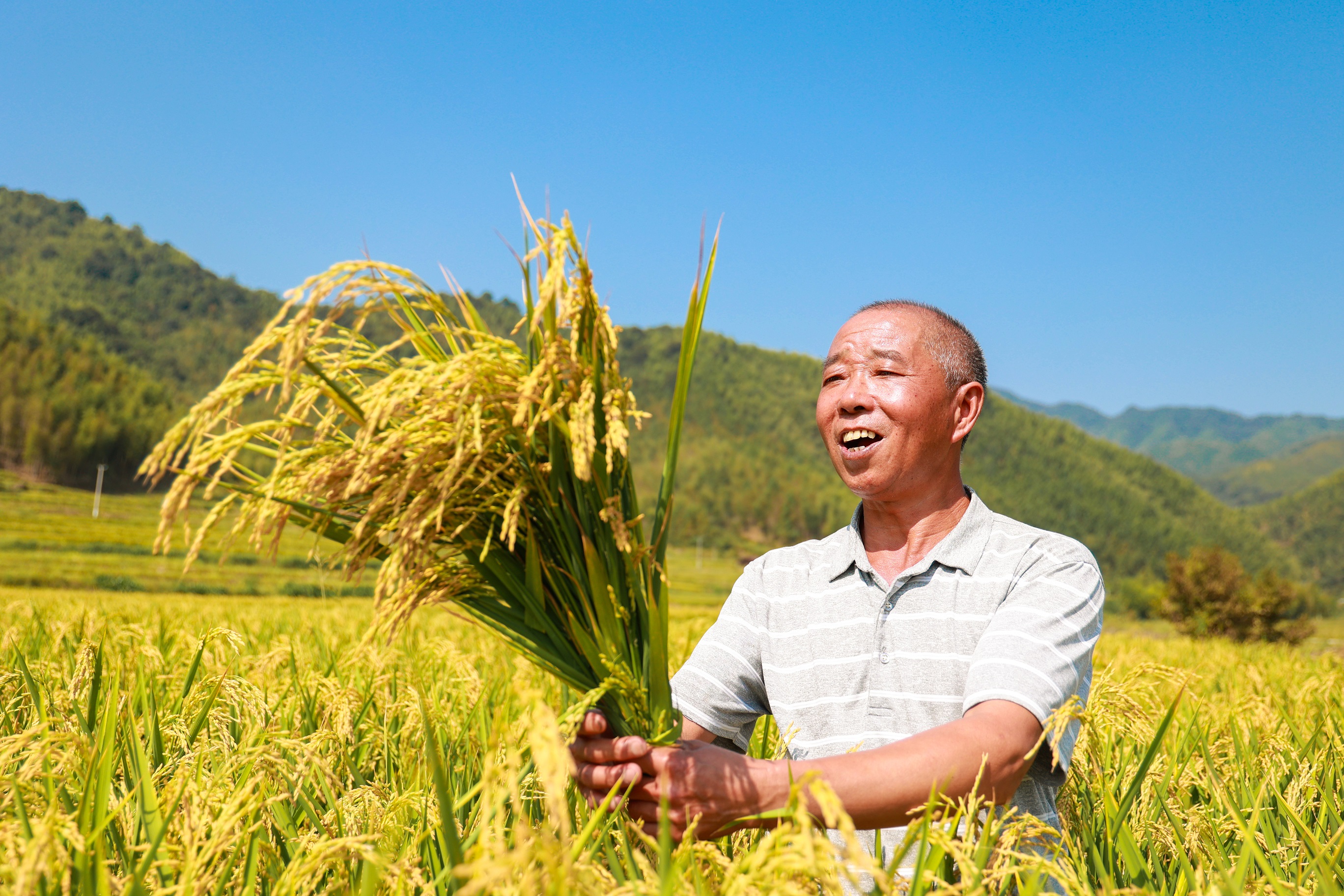 图十 陈震 摄.jpg