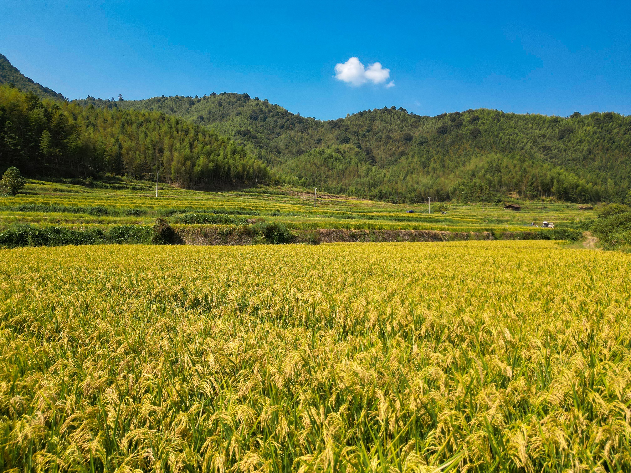 图十二 熊海栋 摄.jpg