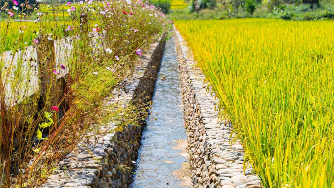 1665024290499761.png 水利.png