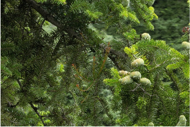 1665385119609733.png 多样性.png