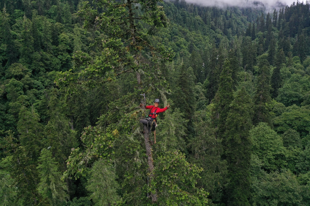 1665385388955368.png 红.png