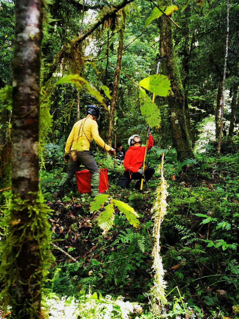 1665385412327830.png 下.png