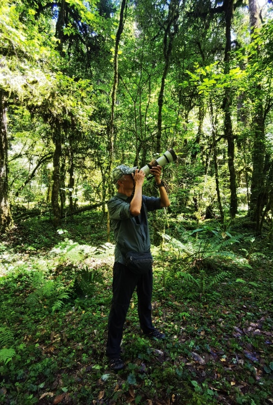 1665385487551847.png 拍.png