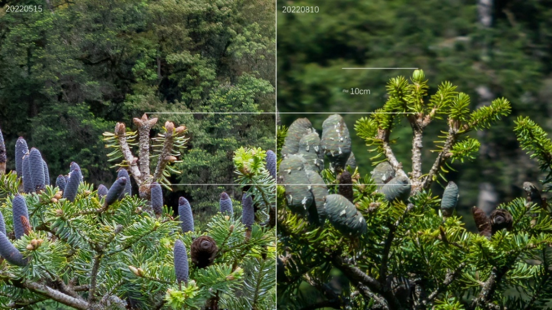 1665385513205737.png 比.png