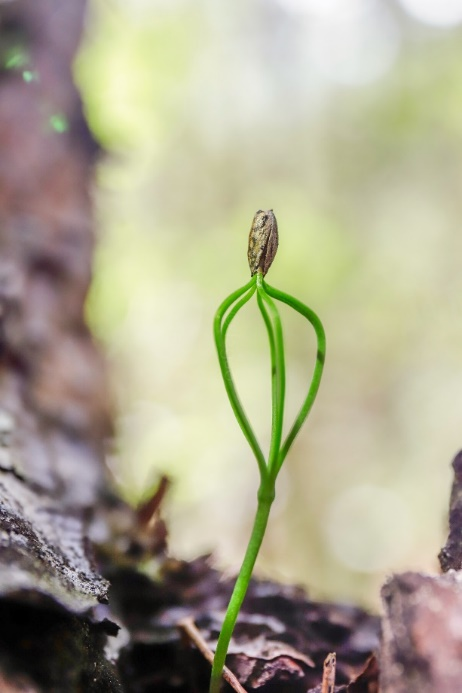 1665385597457825.png 进行后.png