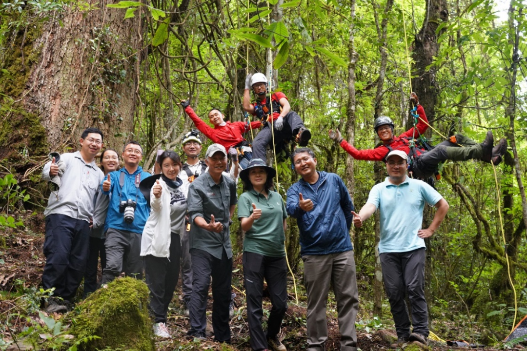 1665385651541440.png 最后.png