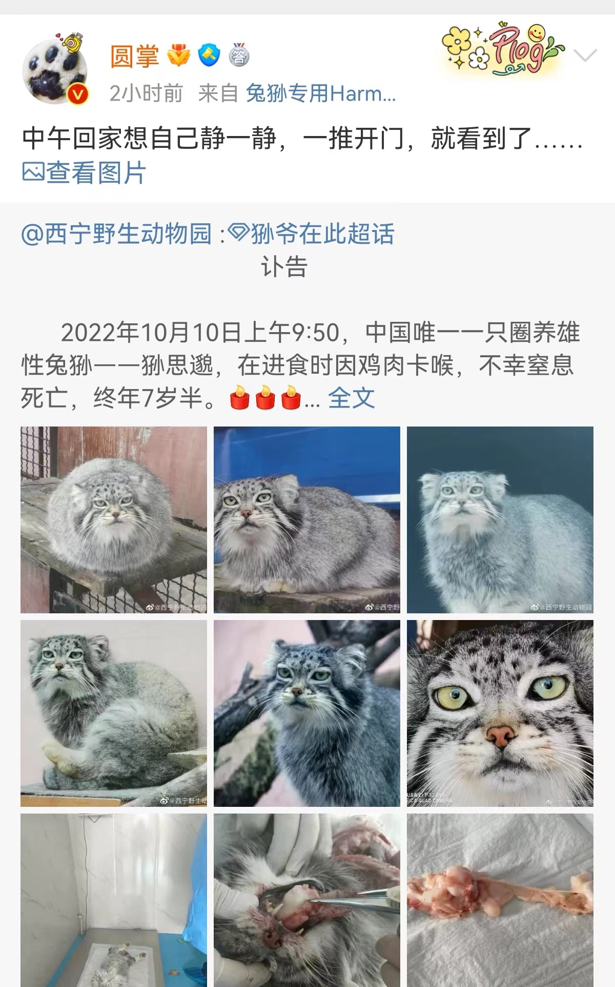 微信图片_20221010174639.jpg