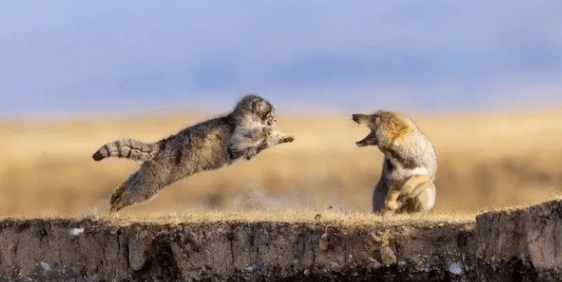 95c7d9fd72f245c6880f5067f1226e71 (1).png