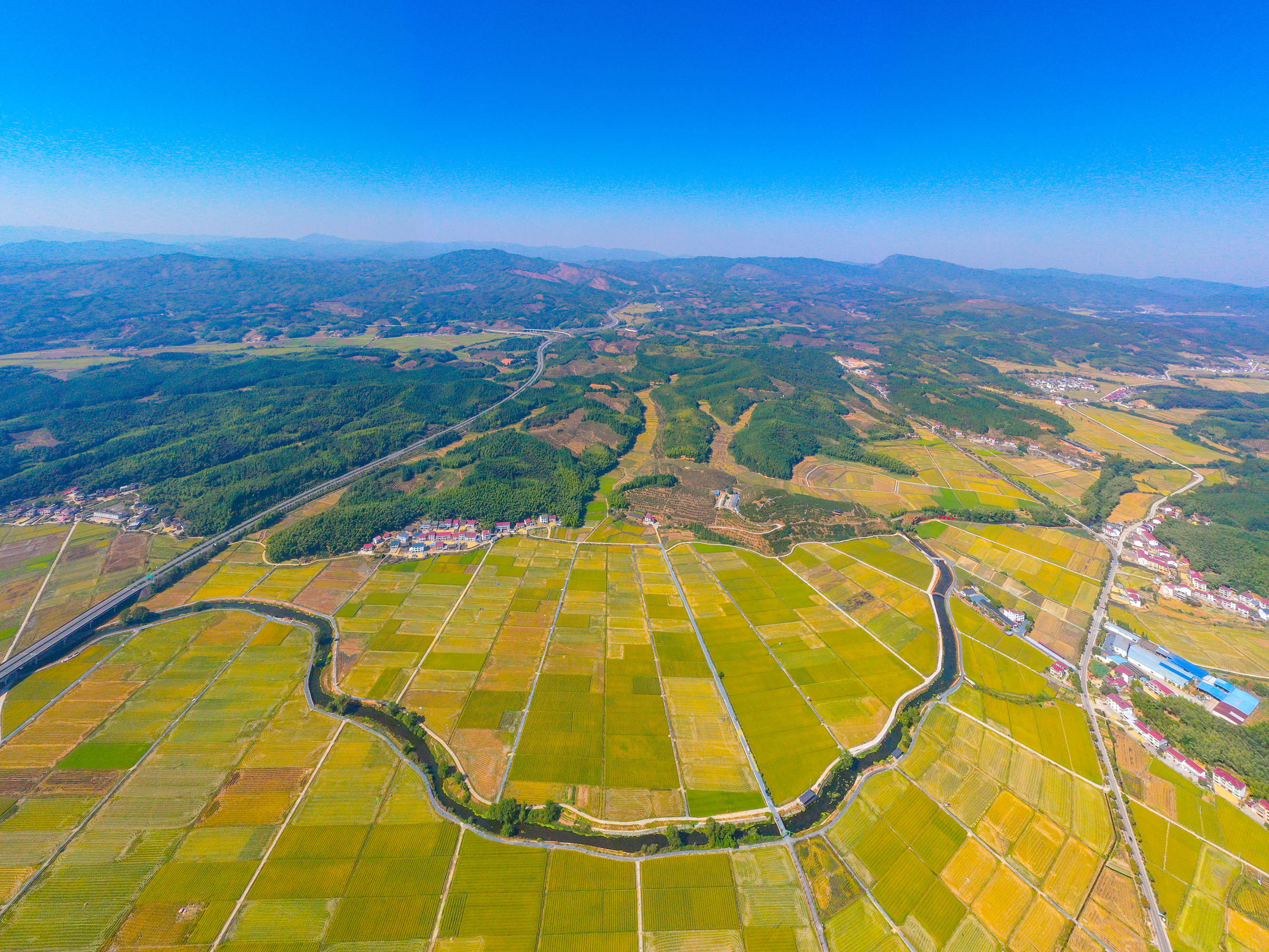 1666058750229978.jpg 建宁县溪口镇枫元村的高标准农田制种基地。(摄影:肖开涯).JPG