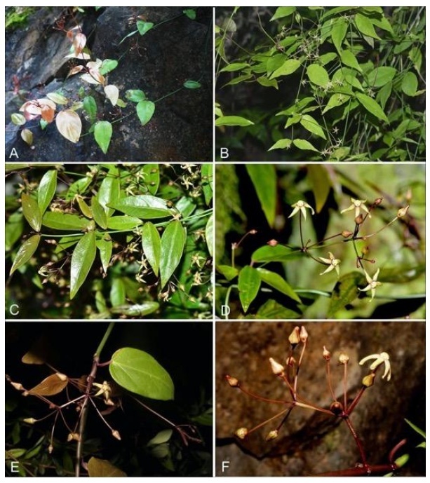 image.png?x-oss-process=style/w10