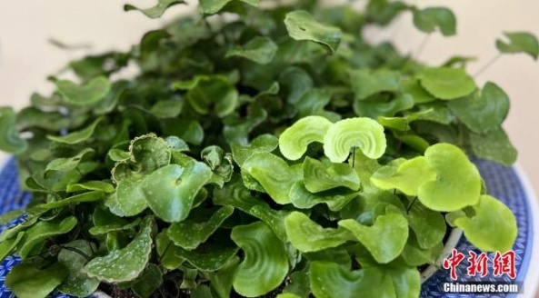 image.png?x-oss-process=style/w10