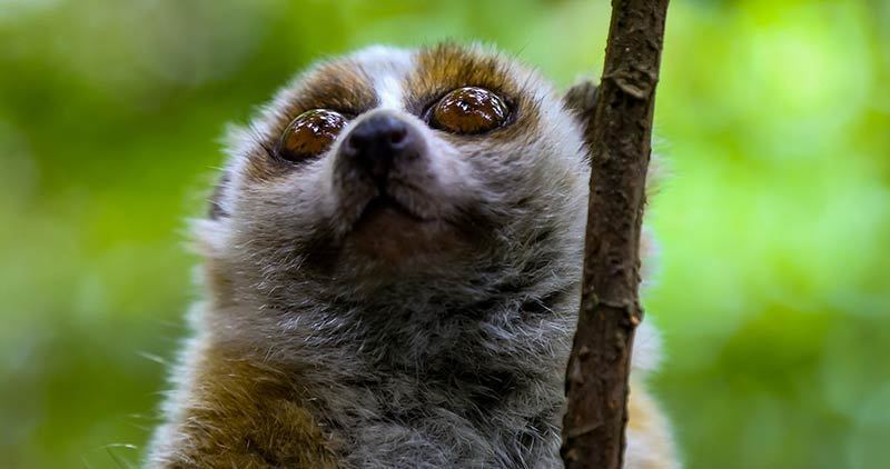 1666841859122843.jpg LOCAL16668298767434LCKJ1VB.jpg