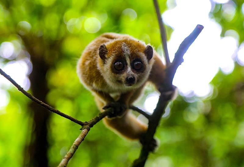 1666841909166761.jpg LOCAL1666829910323U8XWKKNF7J.jpg