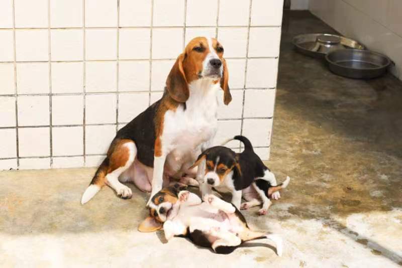 1667128131172903.jpg mmexport1667127998851.jpg