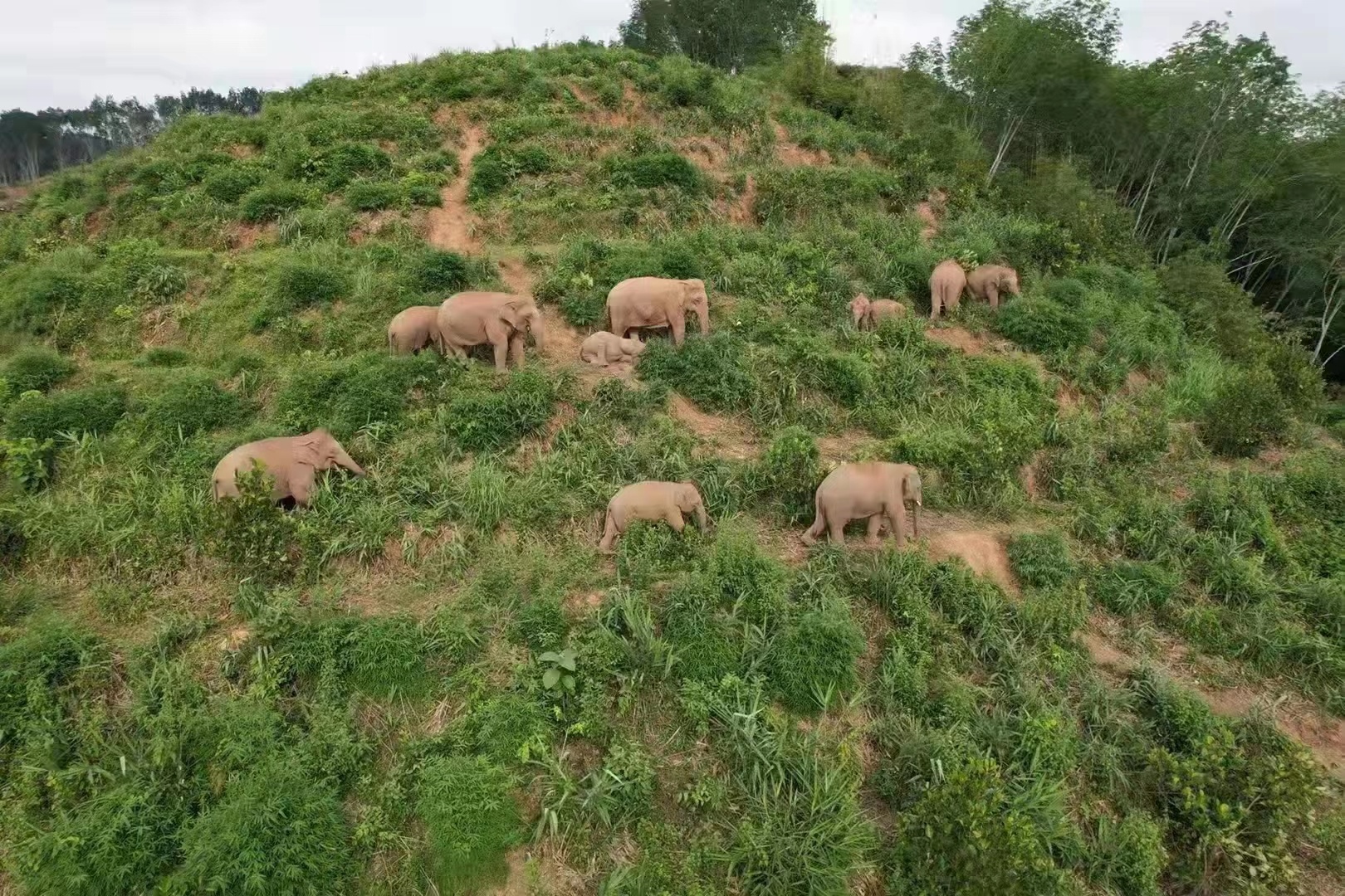 1667025142622404.jpg 2.jpg