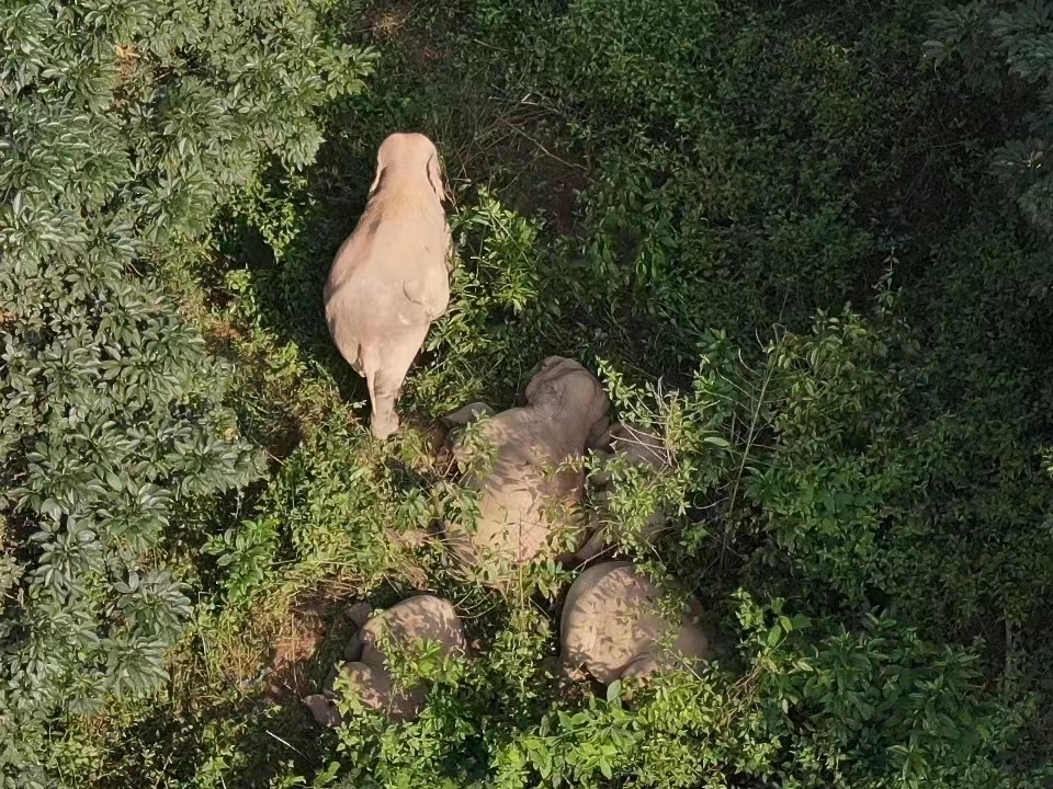 1667025151392551.jpg 3.jpg