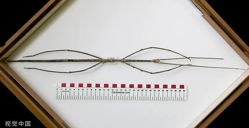 1667371155225647.jpg 0 (8).jpg