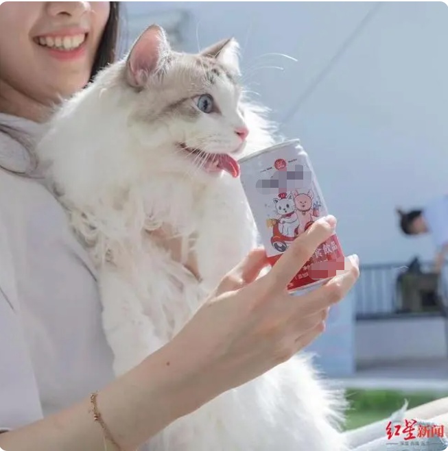 1667371224338471.png 0 (3).png