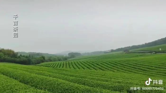 1667442316151220.jpg?x-oss-process=style/w10 cb602874b439b141b6c303a0de74c6be.jpg?x-oss-process=style/w10